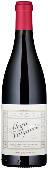 Promotion - Anniversary Wine #1: Alegre Valgañon Tinto 2023
