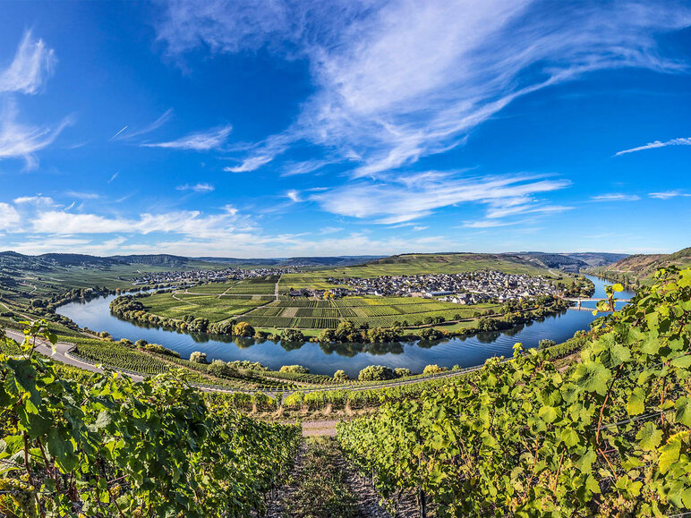 Event | 03/09/2026 - German Wine Tasting