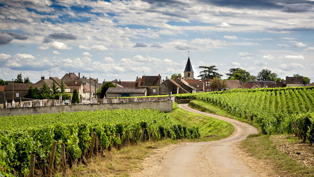 Eine Panoramastrasse führt durch einen Weinberg in ein Dorf im Burgund