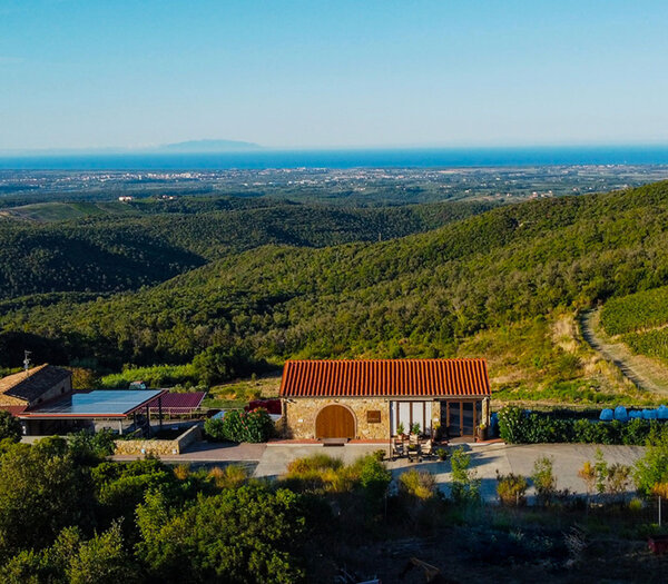 Azienda Vitivinicola Duemani