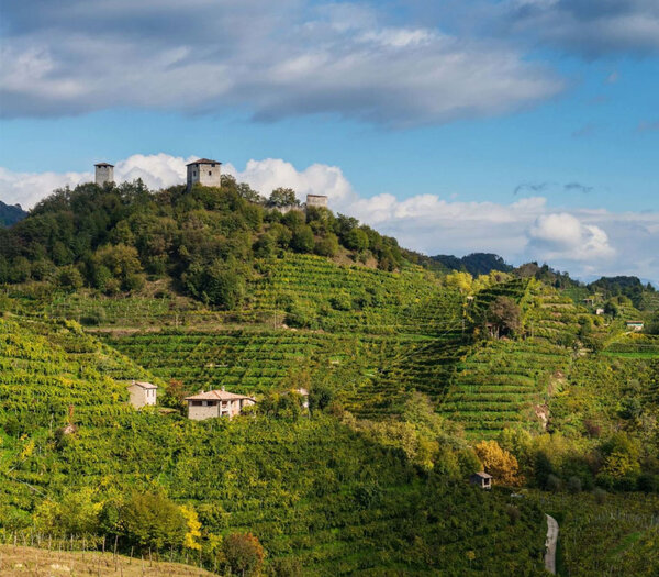 Cantina Progettidivini