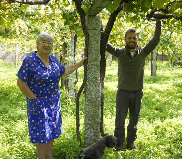 Bodegas Casa Monte Pío