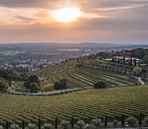 Azienda Agricola Roccolo Callisto