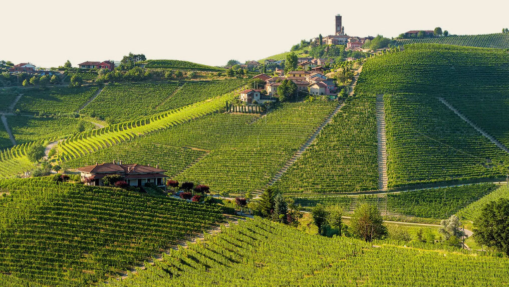 Weinberge und Kellerei von Produttori del Barbaresco