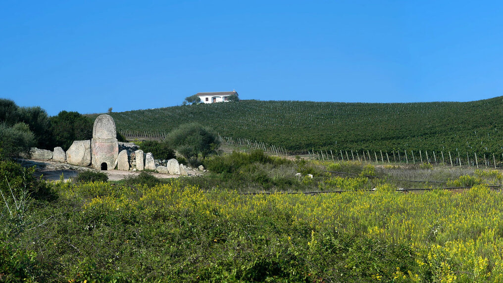 Charakteristische Granitfelsen in den Weinbergen von Capichera