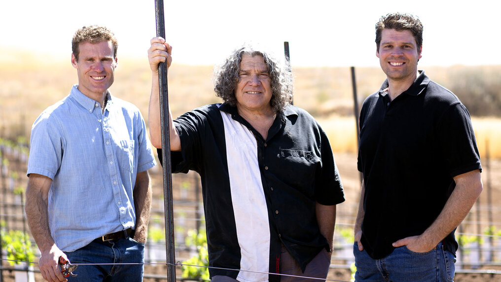 Aufnahme von Gary, Mark und Jeff Pisoni in ihrem Weinberg im Frühling