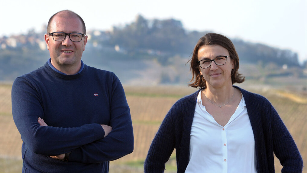 Foto Domaine Serge Laloue