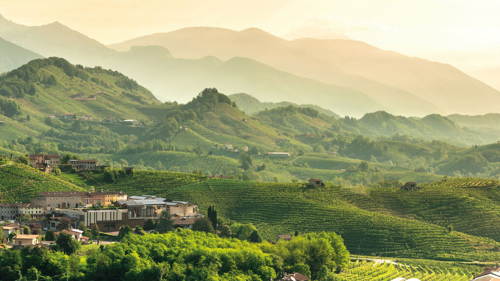Ausblick auf das Weingut von Foss Marai und die umliegende, mit Reben bestockte Hügellandschaft
