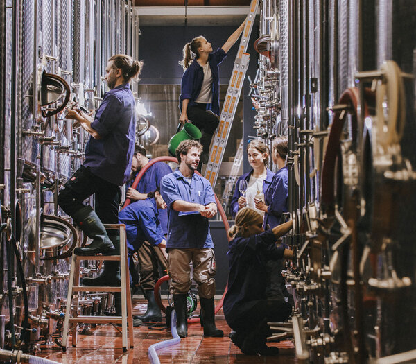 Weingut Geheimer Rat Dr. von Bassermann-Jordan