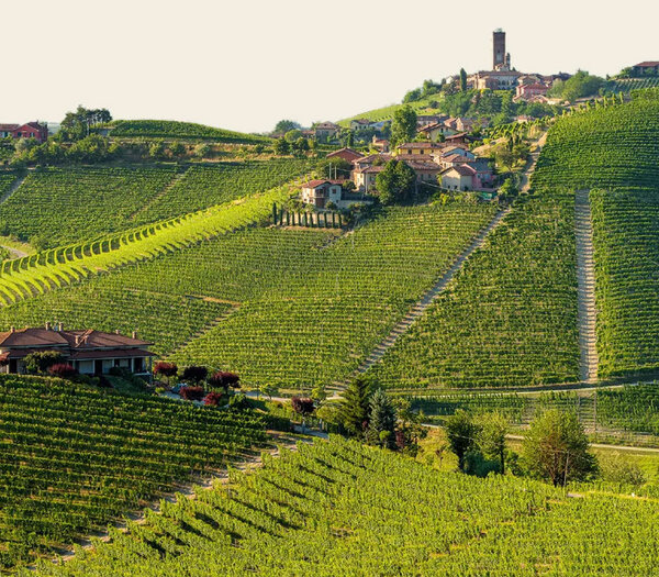 Produttori del Barbaresco
