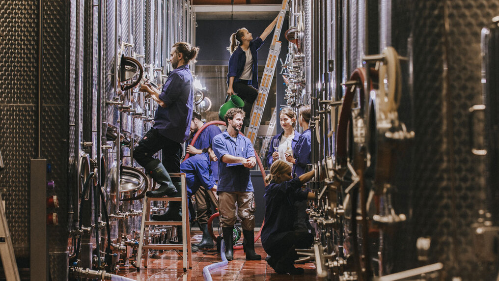 The Bassermann-Jordan team working in the wine cellar between large stainless steel tanks