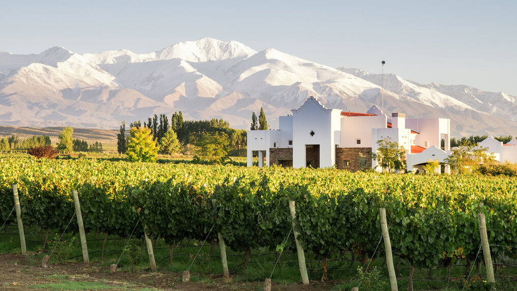 The white manor house of Finca Ambrosía stands amid lush vineyards. The snow-capped Andes can be seen in the background.