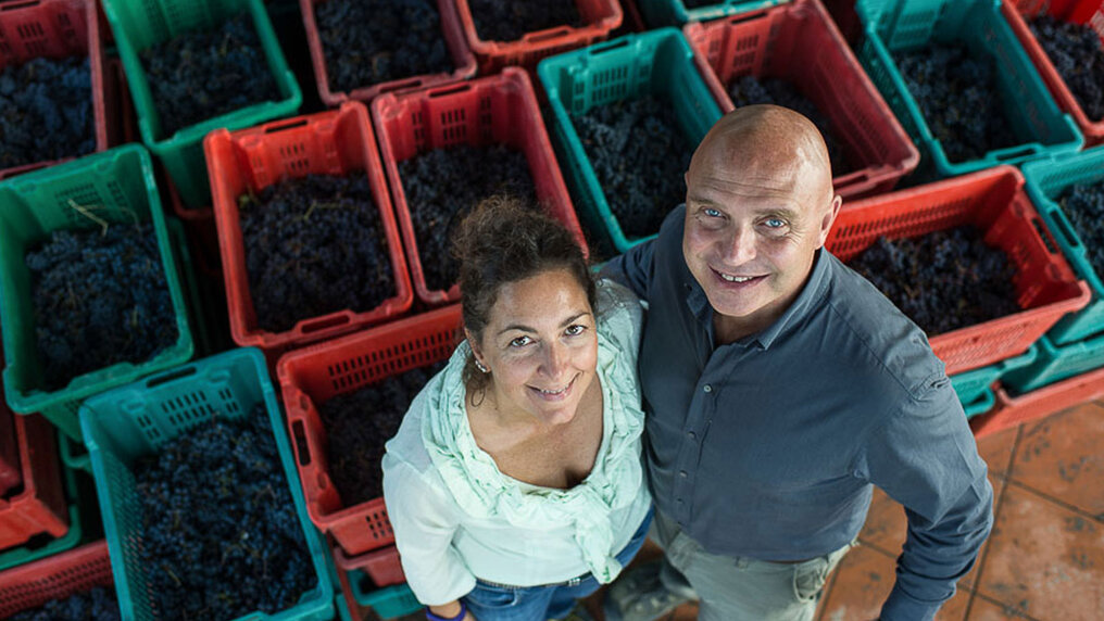 A bird's-eye view shows founders Luca d'Attoma and Elena Celli surrounded by crates filled with harvested grapes.