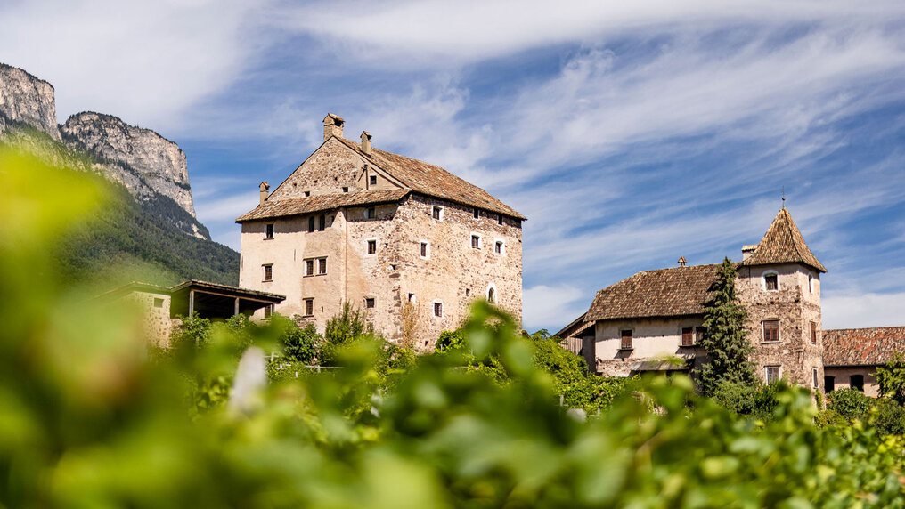 The picturesque winery building towers above the green vines. The Mendel Mountains can be seen in the background.