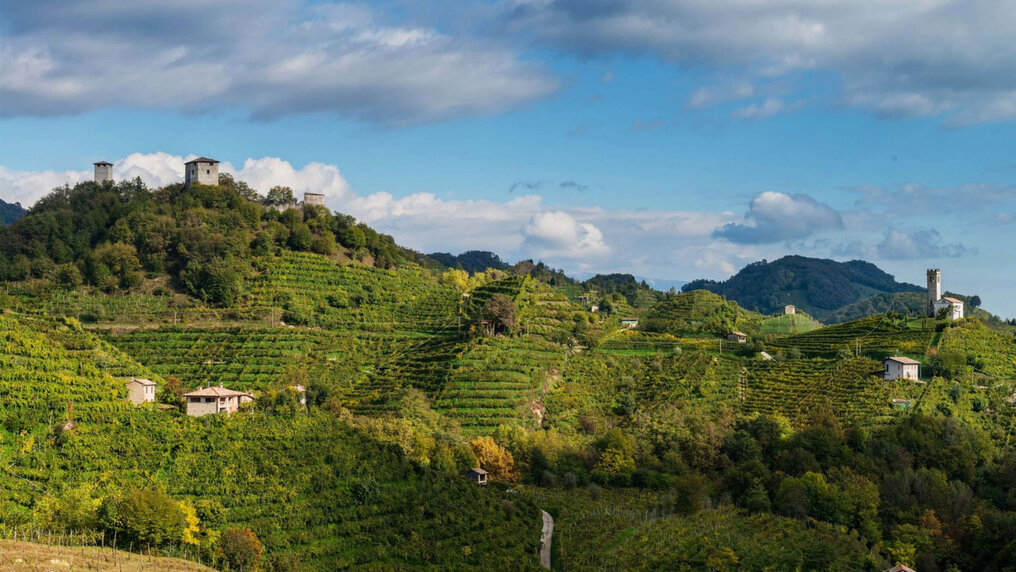 Vine-covered hills in the Prosecco DOCG region