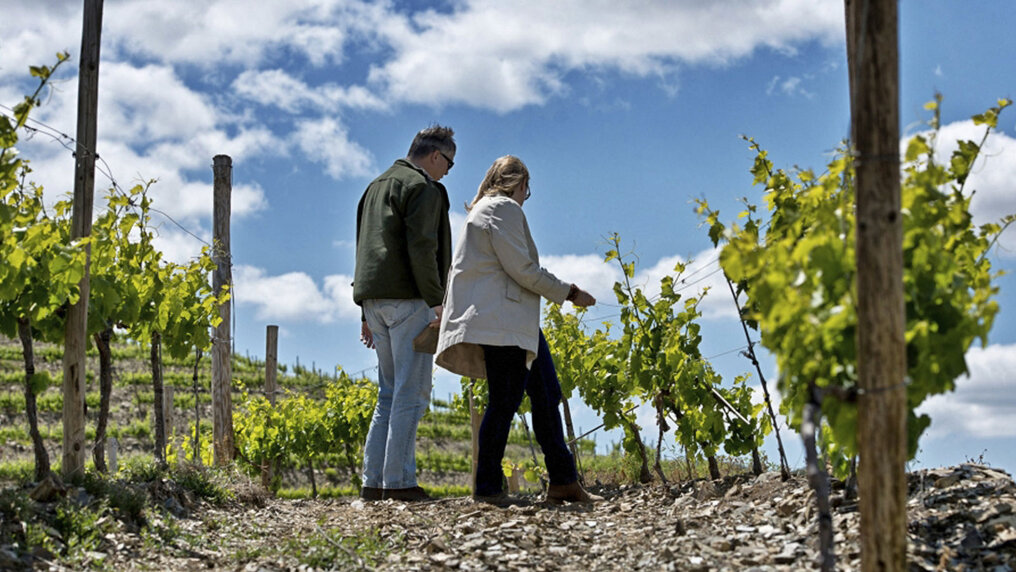 Owners John Lipscomb and Núria Tobella stand in their vineyard and examine a row of vines.