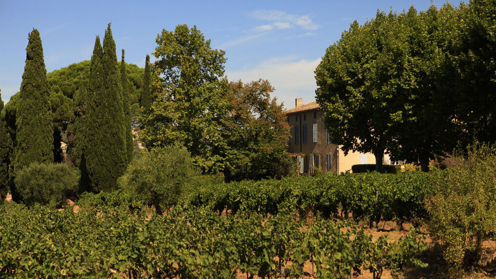 The Domaine Tempier winery is nestled among lush trees, cypresses and vines.