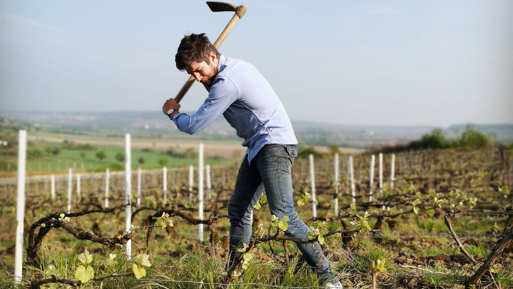Geoffrey Delouvin working with a hoe in the vineyard