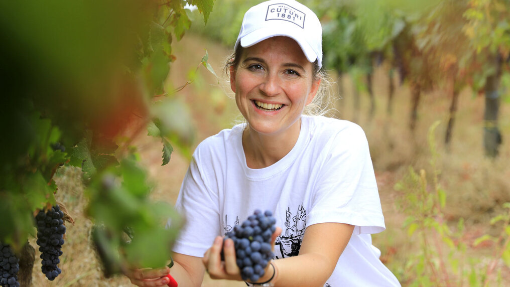 Camilla Rossi Chauvenet cuts grapes from a vine and holds them up to the camera