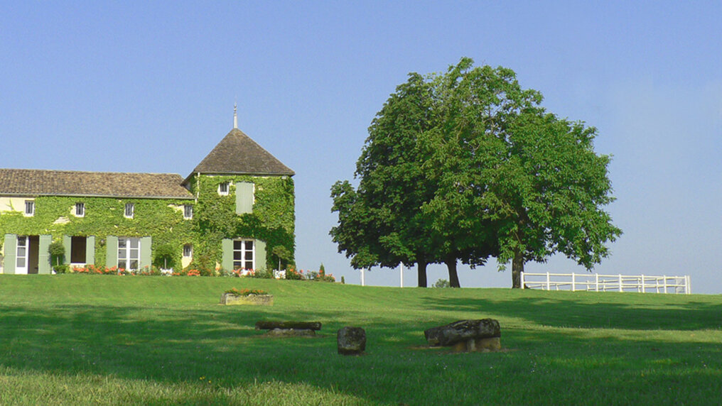 View of the manor house, which is overgrown with ivy and stands next to large trees.