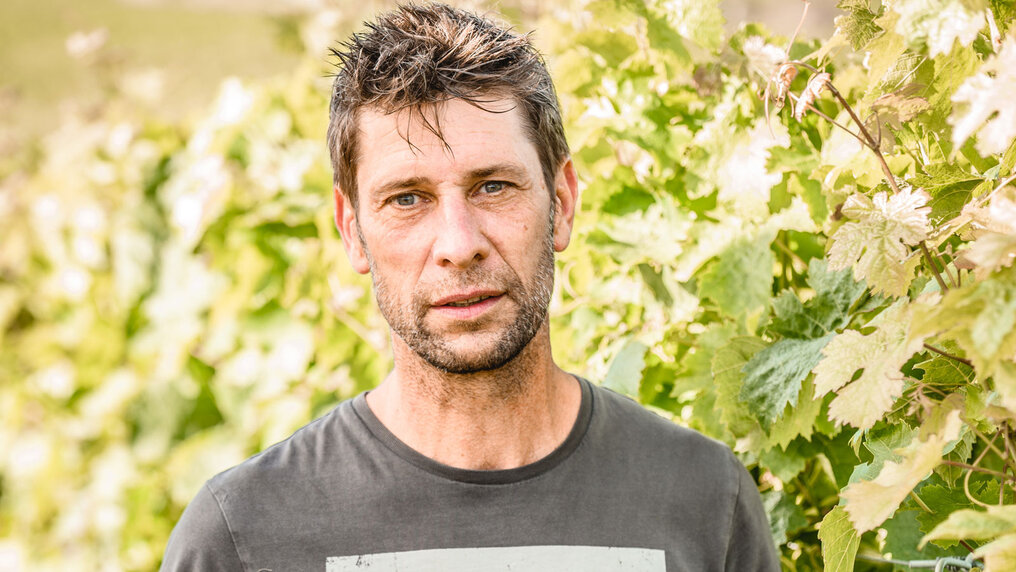 Portrait of Dominique Joseph in the vineyards