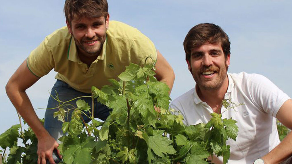 Asier and Rodrigo Calvo in their vineyard.