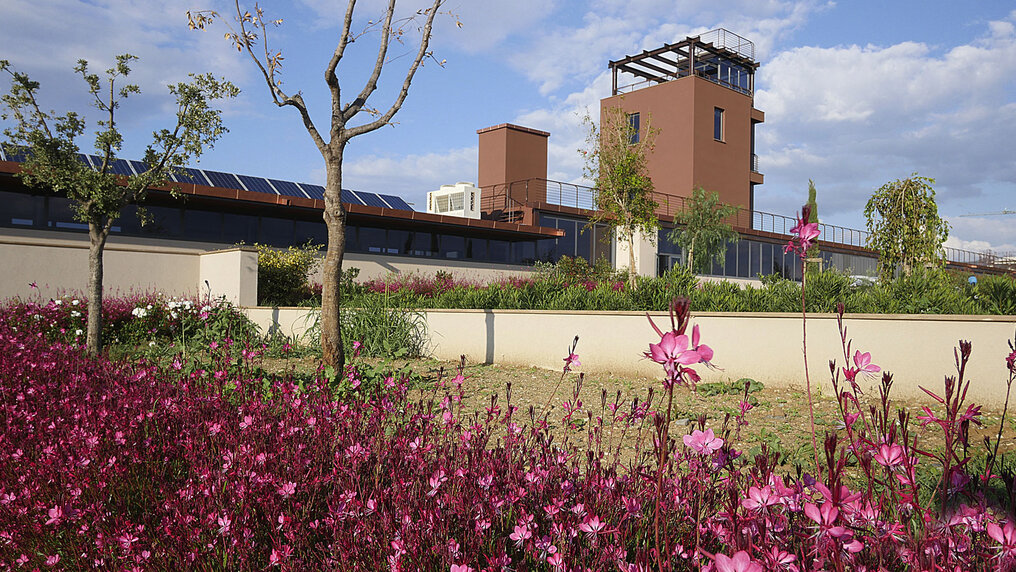 Picture Podere Le Scuderie