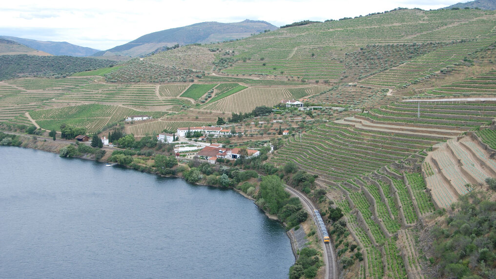 Taylor's winery is located on the River Duero and is surrounded by vineyards.