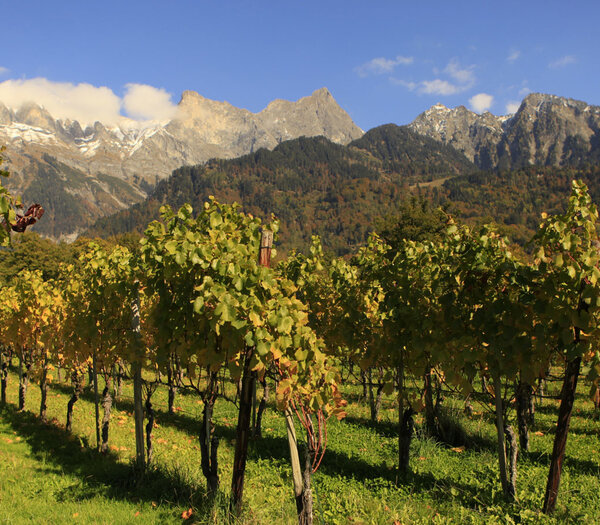 Bündner Herrschaft (Graubünden)