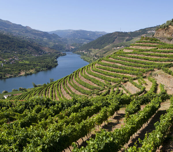 Douro