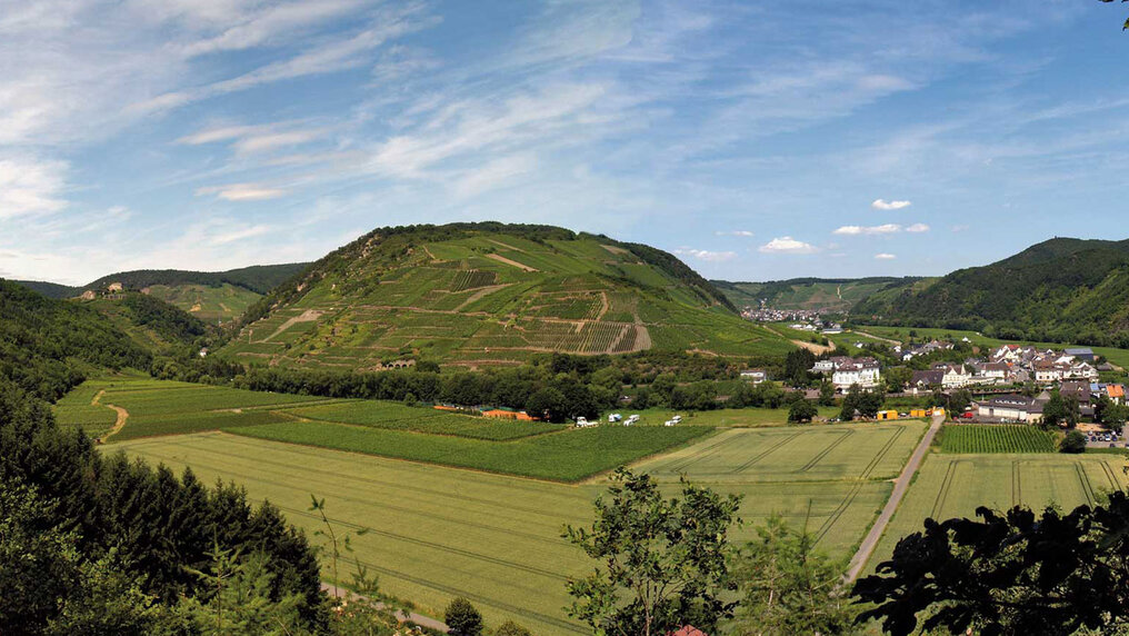 Characteristic elevation in the Ahr Valley, covered with vines.