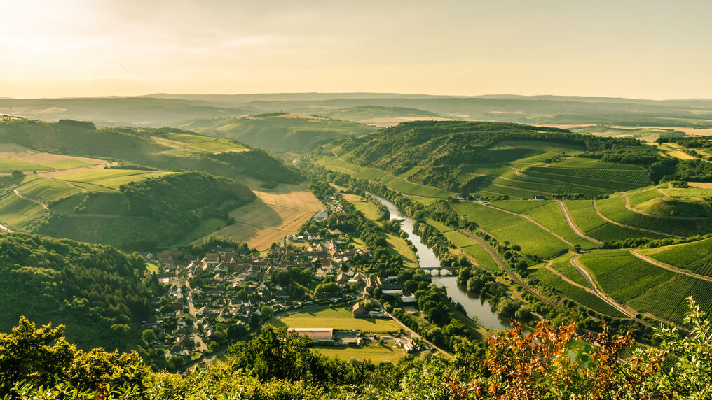 View of the Nahe River with the surrounding vineyards.