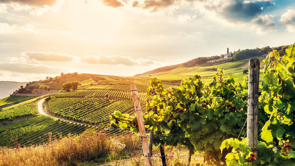 Frühlingsdegustation Deutschland