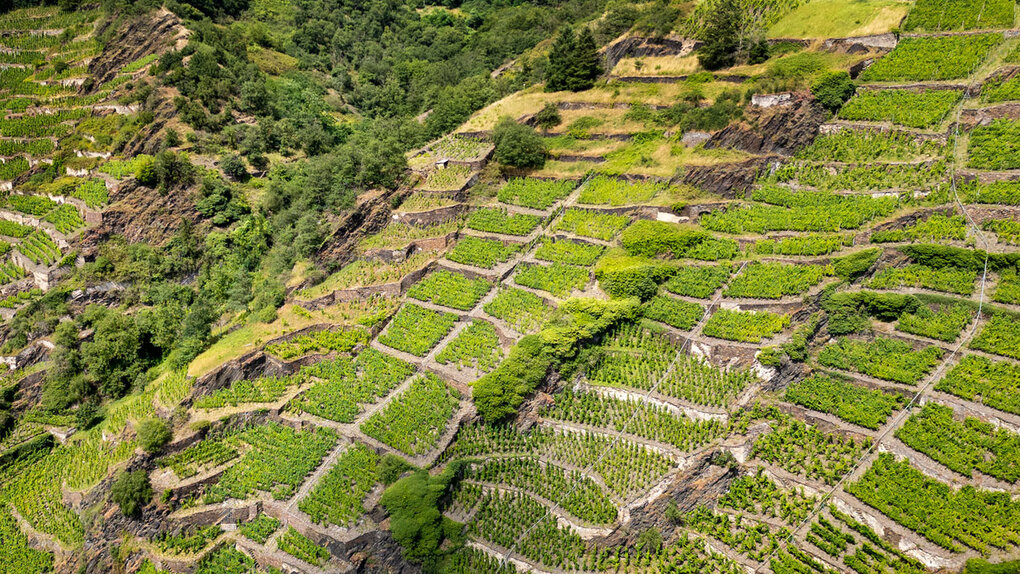 Degustation Deutschland