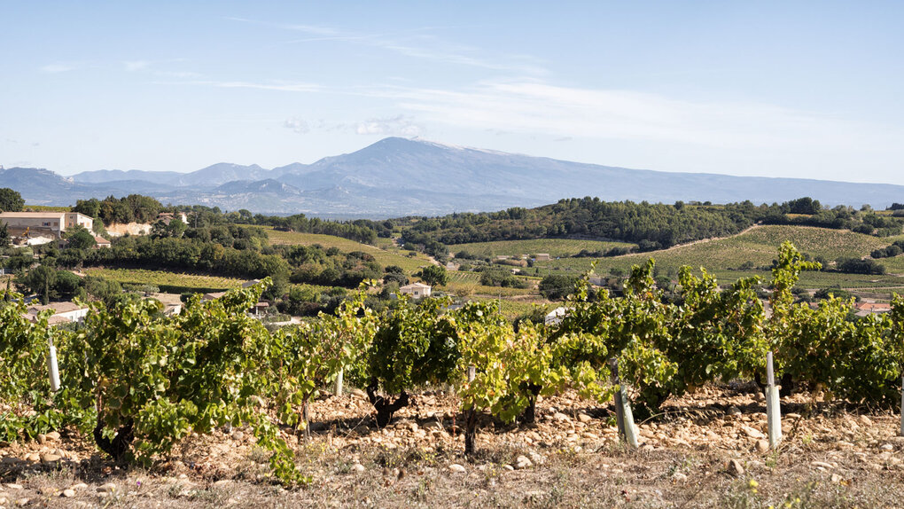 Degustation Frankreich