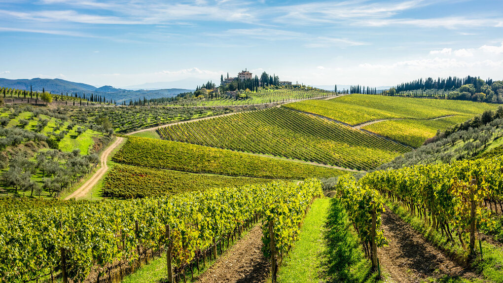 Italian & Spanish Wine Tasting