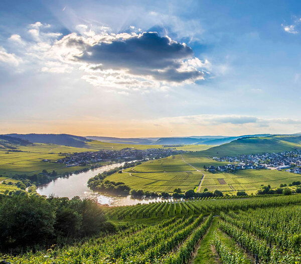 Degustation Deutschland