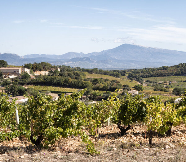Degustation Frankreich