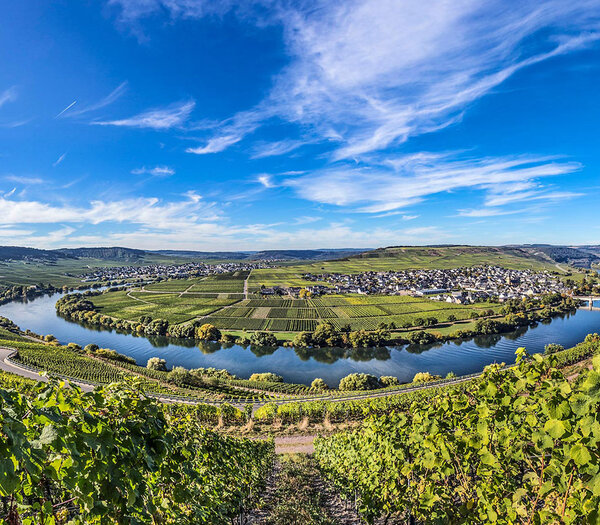 German Wine Tasting