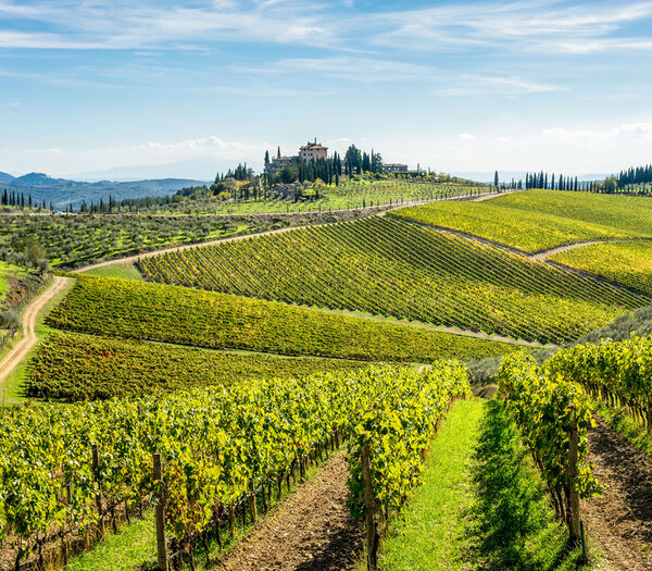Italian & Spanish Wine Tasting
