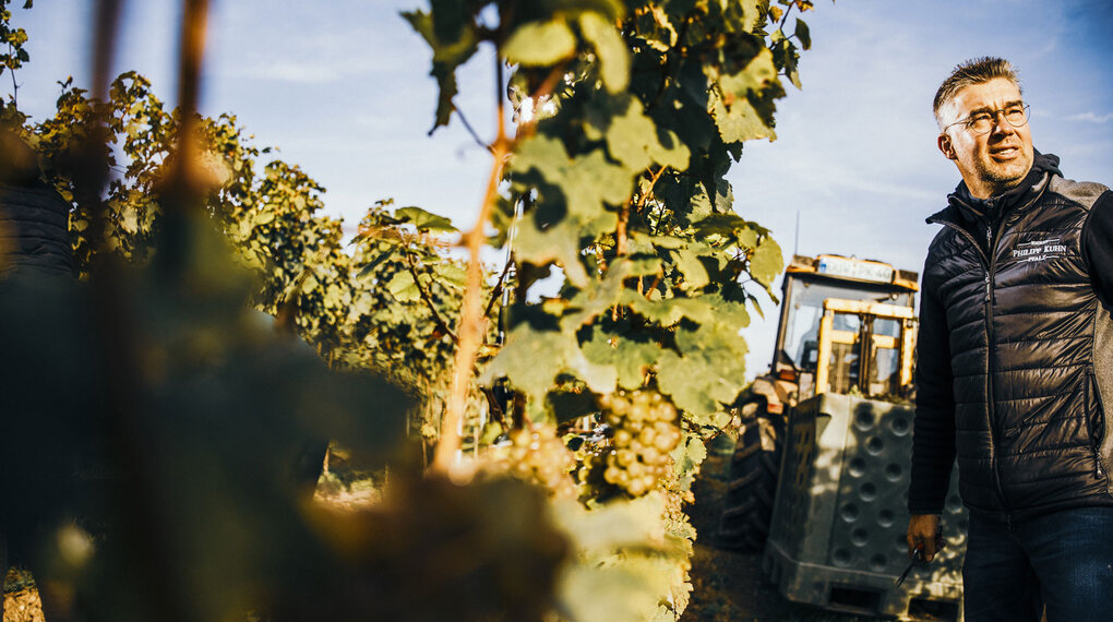 Philipp Kuhn gewinnt Riesling Cup