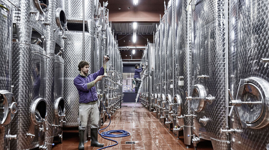 Weinausbau im Stahltank