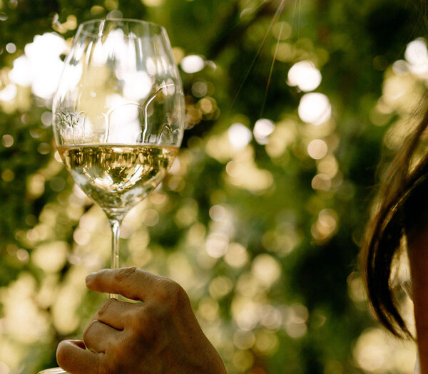 Frühlingsangebot Frankreich