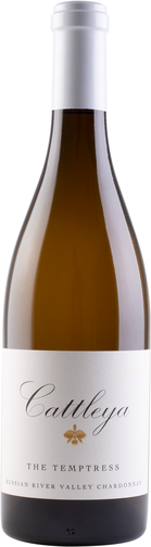 Weinflasche Chardonnay The Temptress Russian River Valley