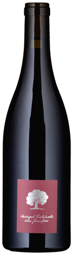 Weinflasche Jeninser Pinot Noir AOC Graubünden