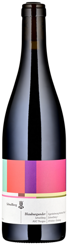 Weinflasche Blauburgunder "Schnellberg" AOC Thurgau