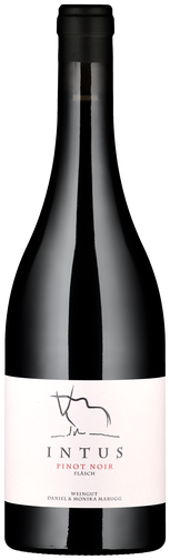 Fläscher Pinot Noir Intus AOC Graubünden Weinflasche Fläscher Pinot Noir Intus AOC Graubünden