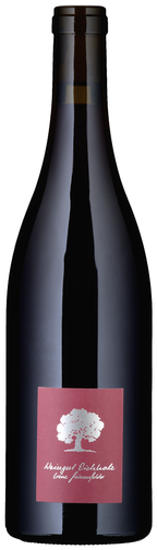 Weinflasche Jeninser Pinot Noir AOC Graubünden