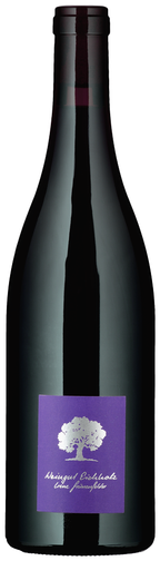 Weinflasche Pinot Noir «Bündte» AOC Graubünden