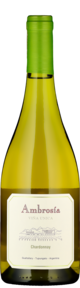 Chardonnay Viña Unica